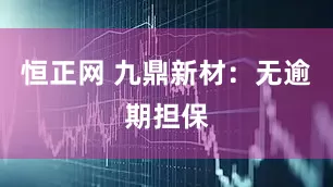 恒正网 九鼎新材：无逾期担保